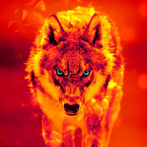 Meet your Posher, Diego